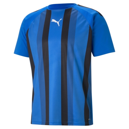 PUMA teamLIGA Striped Jersey Herren Football