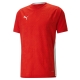 PUMA teamCUP Jersey Herren Football