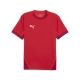 PUMA teamFINAL Jersey Herren Football