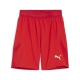 PUMA teamFINAL Shorts Herren Football