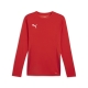 PUMA teamGOAL LS Jersey Herren Football