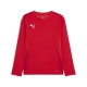 PUMA teamGOAL LS Jersey Jr Football