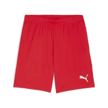 PUMA teamGOAL Shorts Herren Football