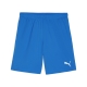 teamGOAL Shorts