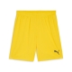 teamGOAL Shorts