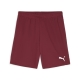 teamGOAL Shorts