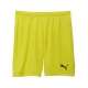 teamGOAL Shorts