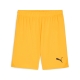 teamGOAL Shorts