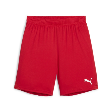 PUMA teamGOAL Shorts Jr Football