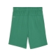 teamGOAL Shorts Jr