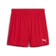 PUMA teamGOAL Handball Shorts W Damen Football