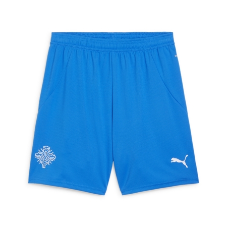 PUMA KSI Shorts Replica Herren Football