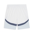 SFV Shorts Replica