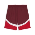 SFV Shorts Replica