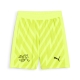 PUMA SFV GK Shorts Replica Jr Football