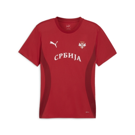 PUMA FSS Prematch SS Jersey Herren Football