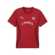 PUMA FSS Prematch SS Jersey Herren Football