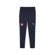 PUMA FSS Training Pants Herren Football