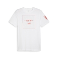 ÖFB Ftblicons Tee