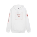 ÖFB Ftblicons Hoody