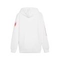 ÖFB Ftblicons Hoody