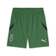 PUMA BMG Shorts Replica Herren Football