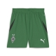 PUMA BMG Shorts Replica Jr Football