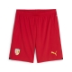 PUMA RCL Shorts Replica Herren Football