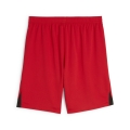 RCL Shorts Replica