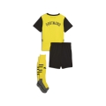 BVB Home Minikit