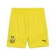 PUMA BVB Shorts Replica Herren Football