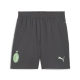 PUMA ACM Shorts Replica Jr Football