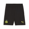 PSV Shorts Replica