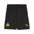 PSV Shorts Replica Jr