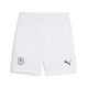 PUMA SRFC Shorts Replica Jr Football