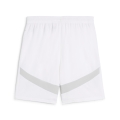 SRFC Shorts Replica Jr