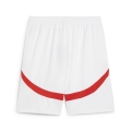 RBS Shorts Replica