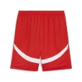 RBS Shorts Replica