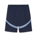 RBS Shorts Replica