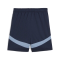 RBS Shorts Replica Jr