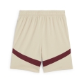 RBS Shorts Replica Jr