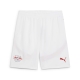 PUMA RBL Shorts Replica Herren Football