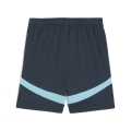 RBL Shorts Replica Jr