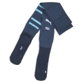 Team RBL Graphic Socks Replica