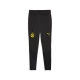 PUMA BVB Training Pants Herren Football