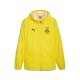 PUMA BVB Training All Weather Jacket Herren Football