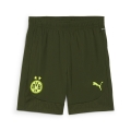 BVB Training Shorts