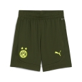 BVB Training Shorts Jr