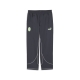 PUMA ACM Statement Track Pants Herren Football