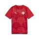 PUMA RBL Prematch SS Jersey Jr Football